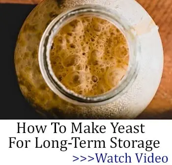 The Lost Super Foods video 2