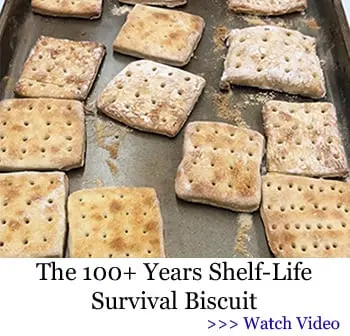 The Lost Super Foods video 4