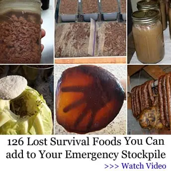 The Lost Super Foods video 5