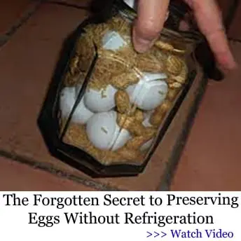 The Lost Super Foods video 6